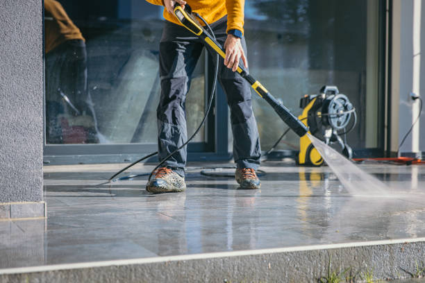 Best Animal Enclosure Cleaning  in Winfield, IA